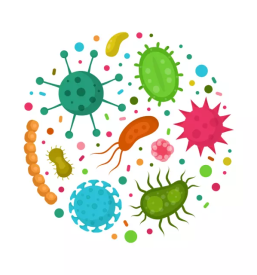 Dezinfekcija slovenija