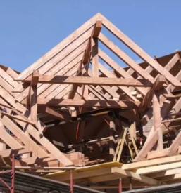 Gradnja skeletne hise slovenija