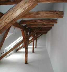 Gradnja skeletne hise slovenija