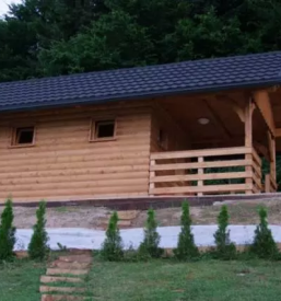 Gradnja skeletne hise slovenija