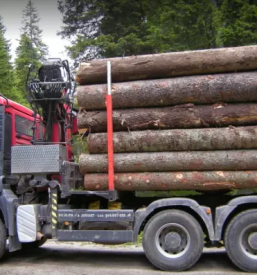 Ugoden prevoz lesa Štajerska