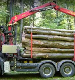 Poceni prevoz lesa Štajerska