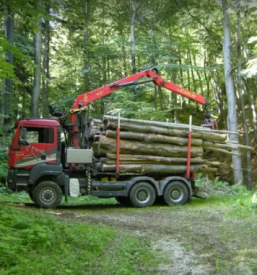Kvaliteten prevoz lesa Štajerska
