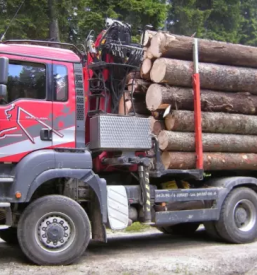 Prevoz lesa in hlodovine stajerska