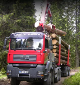 Dober prevoz hlodovine Štajerska