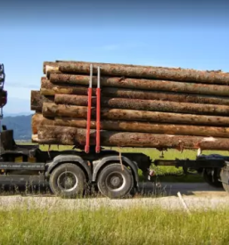 Hiter prevoz hlodovine Štajerska