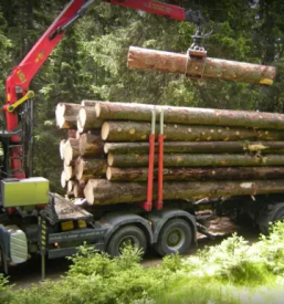 Poceni prevoz hlodovine Štajerska