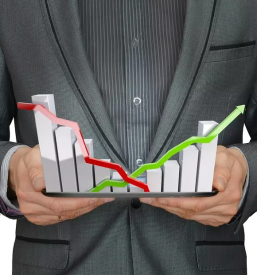 Računovodske storitve Vipava, Goriška