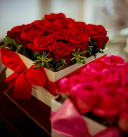 Ob nedeljah odprta cvetličarna Ljubljana, Slovenija