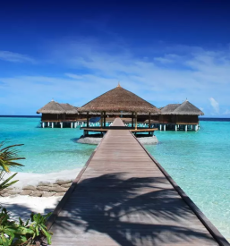 Ugodna organizacija potovanj