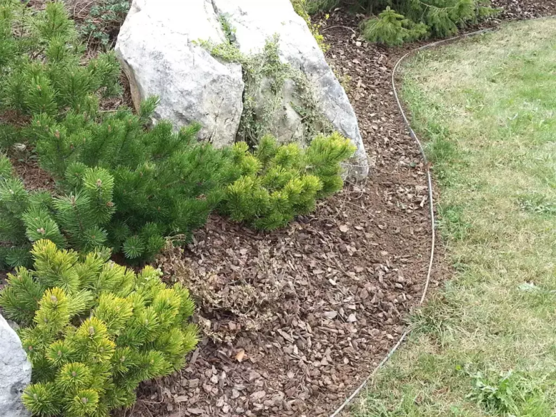 Urejanje domačih vrtov in okolice v Sloveniji