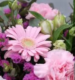 Cvetličarna odprta ob nedeljah Črnuče, Ljubljana, Osrednja Slovenija