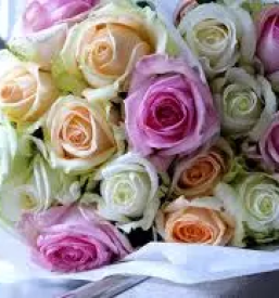 Cvetličarna z dostavo Ljubljana