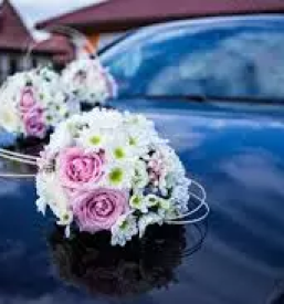 Cvetličarna odprta ob nedeljah Ljubljana, Slovenija