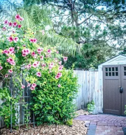 Ureditev dvorišč Štajerska