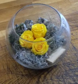 Žalni šopki Ljubljana