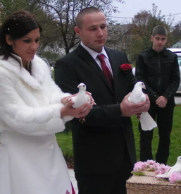 Beli golobi za poroko slovenija
