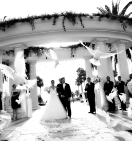 Izpust belih golobov za dogodke Slovenija