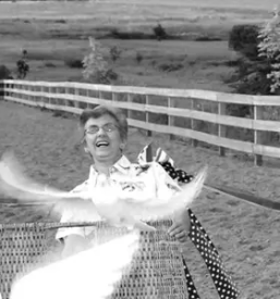 Izpust belih golobov