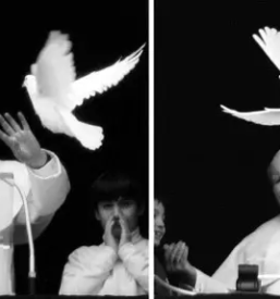 Izpust belih golobov najem Slovenija