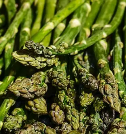 Kisle zeljne glave ljubljana