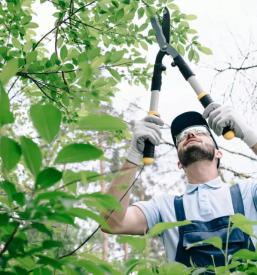 Kosenje trave in strizenje dreves ljubljana