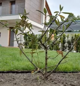 Pvc randsteine fur garten und pflastersteine