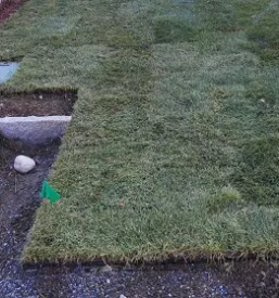 Pvc randsteine fur garten und pflastersteine