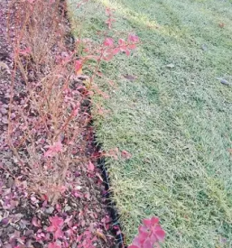 Pvc randsteine fur garten und pflastersteine