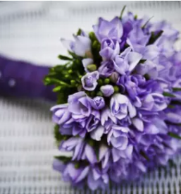 Porocno cvetje in porocni sopki ljubljana moste