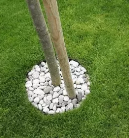 Skriti robniki slovenija