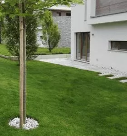 Skriti robniki slovenija