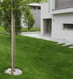 Skriti robniki slovenija