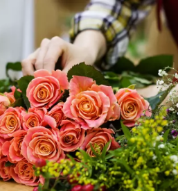 Ugodni zalni aranzmaji v ljubljani