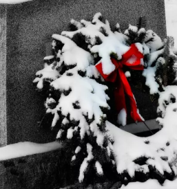 Ugodni zalni aranzmaji v ljubljani