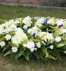 Ugodni zalni aranzmaji v ljubljani