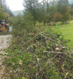 Urejanje okolice gorenjska