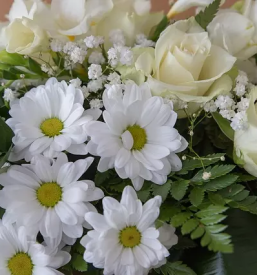 Zalno cvetje ljubljana