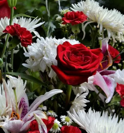 Zalno cvetje ljubljana