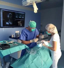 Zobni implantati ptuj