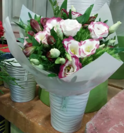 Cvetlicarna ljubljana moste