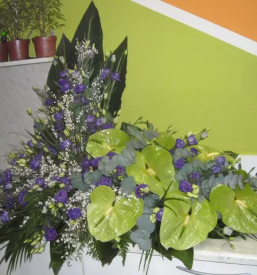 Dostava šopkov Zasavje