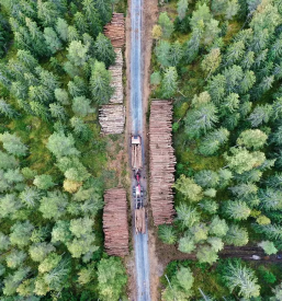 Kamionski prevoz lesa in hlodovine ljubljana okolica