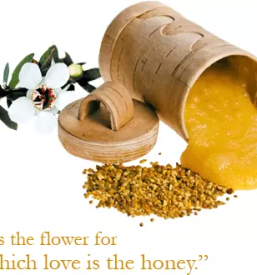 Prodaja manuka medu slovenija