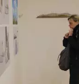 Prodajna galerija s slikami pomurje