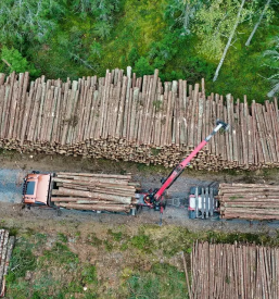 Ugoden prevoz lesa osrednja slovenija