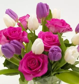 Zalno cvetje in ostalo ljubljana