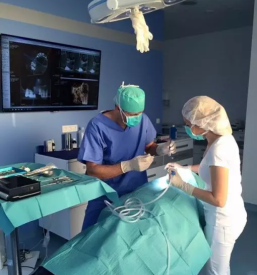 Zobni implantati štajerska