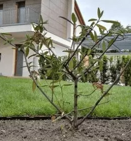 Zunanje ureditve objektov slovenija