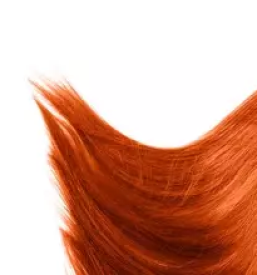 Frizer za moške v Kranju